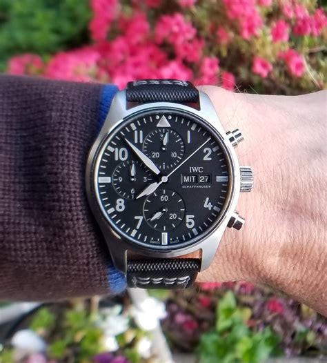 IWC pilot watch review